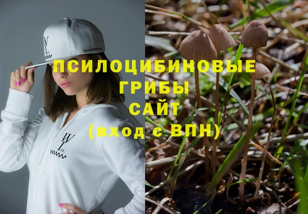 а пвп мука Дмитровск