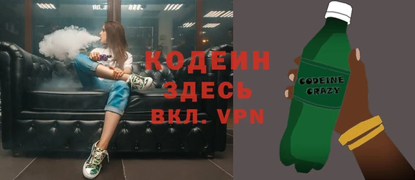 хмурый Лиски