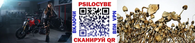 закладка  Пущино  Галлюциногенные грибы Magic Shrooms 
